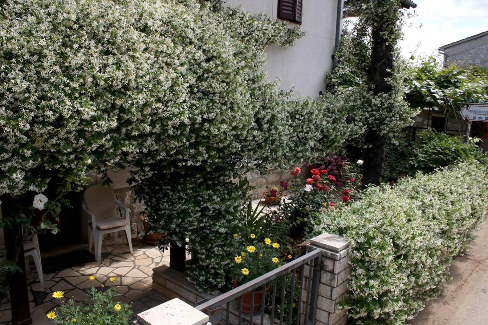 Anamarija Apartments Near The Beach And The Fantastic Adria Sea With Over 10 Small Islands Close By Funtana Buitenkant foto